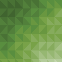 Camtasia icon