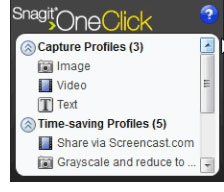 Snagit Image