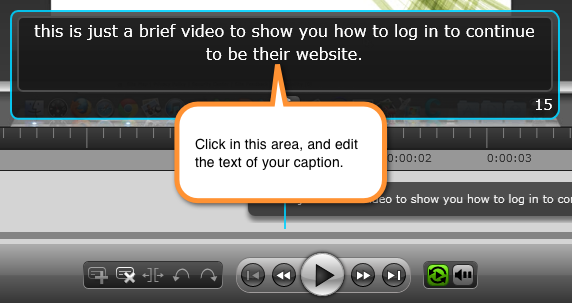 Click on a caption to edit the caption text.