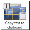 Copy text to clipboard