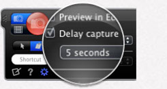 Delay Capture
