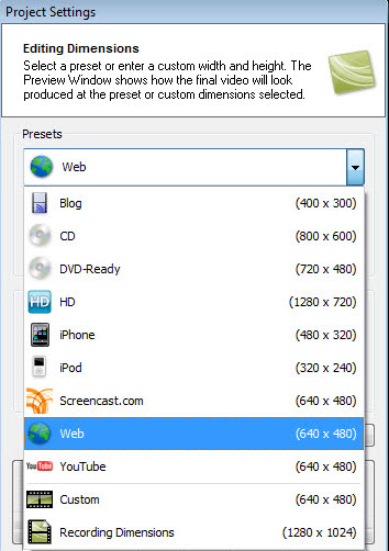 Presets in Project Settings dialog
