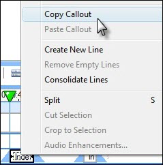 copy callout