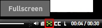 Full screen icon in playback controls