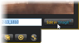 share to Snagit button
