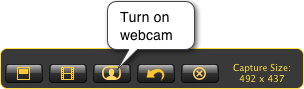 turn on webcam button