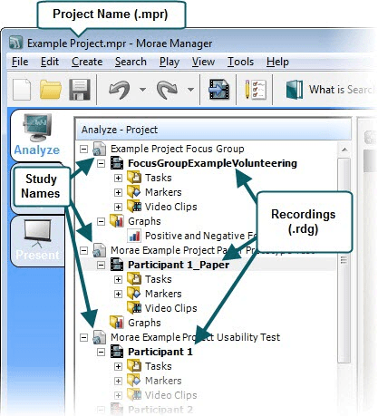 Project Pane overview