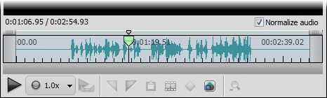 Normalize audio enabled.