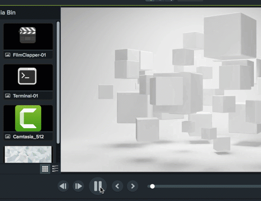Camtasia Video Assets