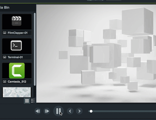 Camtasia video editor assets