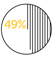 49 percent icon.