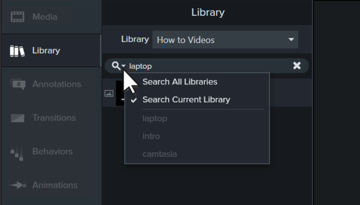 camtasia library assets