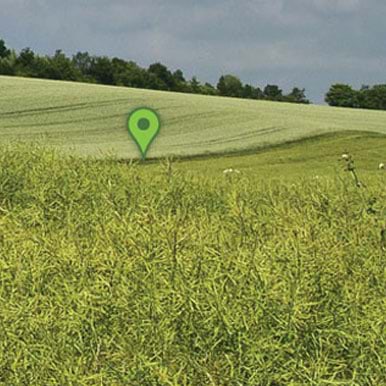 green map markers on a country field