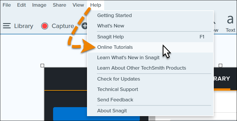 snagit 2019 temporary capture file does not exist