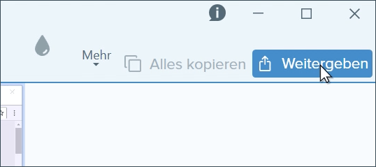 snagit video text snagit video text