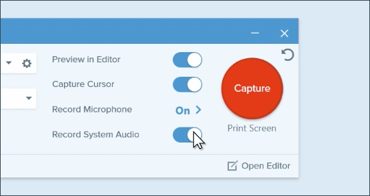 i cant install snagit record system audio